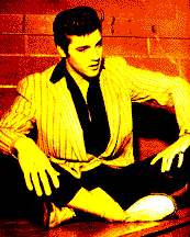 elvis